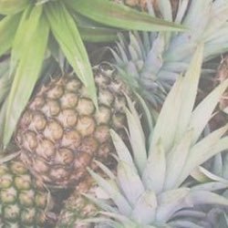 Gta5_Nation's profile picture. I like mods