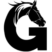 GanyanTime2.com | Ücretsiz At Yarışı Tahminleri (@ganyantime) Twitter profile photo