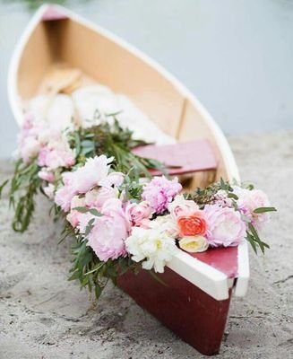 zaazo1433's profile picture. ‏‏.مرشدة