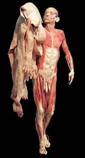 Jorquise's profile picture. 