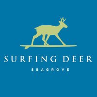 Surfing Deer(@surfingdeer_) 's Twitter Profile Photo