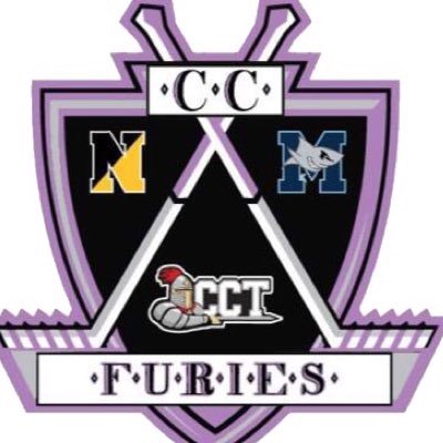 Official Twitter account for the Cape Cod Furies Co-op 2021-2022 Representing Nauset, Monomoy, and Cape Tech 🏒🥅