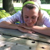 Sarah A. Johnson (@manysarahs) 's Twitter Profile
