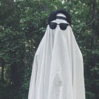casey (@pettythiefs) 's Twitter Profile