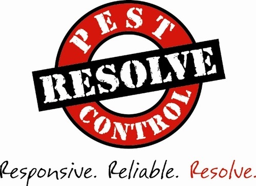 ResolvePest's profile picture. Resolve Pest Control is a family owned and operated pest, termite, mosquito and wildlife management provider servicing all of Metro and South Atlanta since 2008