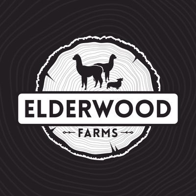 🏆 Award-winning alpaca farm in TN | Home to champion bloodlines & elite breeding stock | Learn more at https://t.co/V3dYfGA5HO 🦙