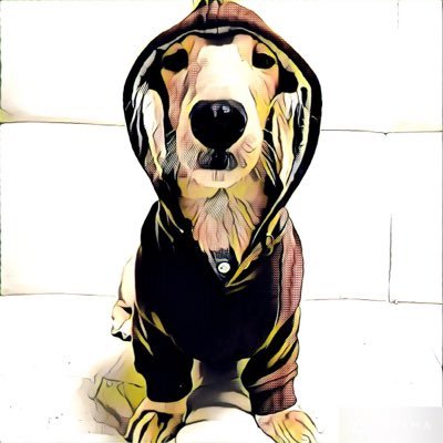 9HALUKA2's profile picture. 楽しく生きる