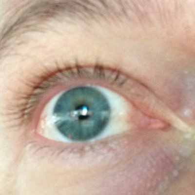 feravfly's profile picture. 
