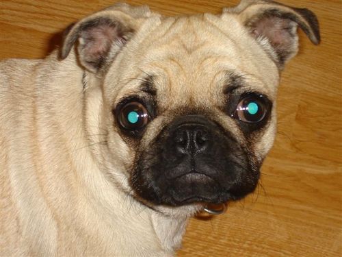 randyj59's profile picture. Married father of three, music lover, employed by J W Pepper