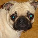 Randy Jensen - @randyj59 - Twitter