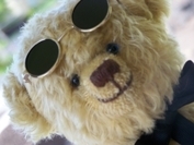 vrboBear's profile picture. I travel the world and stay in http://t.co/hD8FsOIP1n vacation rentals. Follow my travels and let me know about yours!