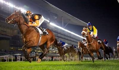 GG's Racenights, based in Armagh, have years of experience in providing all types of Race Night occasions to suit your club or charity -
ggsracenights@gmail.com