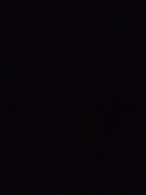 angelr666's profile picture. 