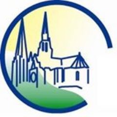 ChartresUlti's profile picture. Club d'ultimate frisbee.