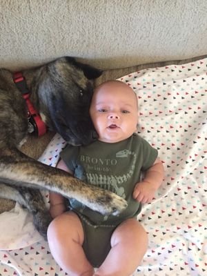 JordanS31379692's profile picture. love my ziggy and my cars