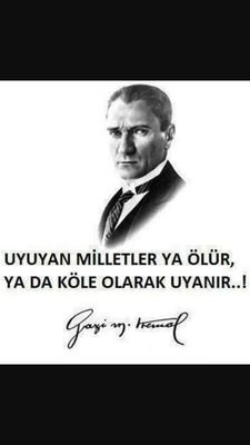 DosdogruHaydar's profile picture. FARAD ASANSÖR