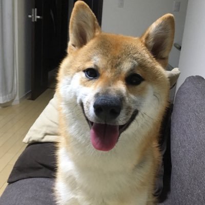 harusanさんのプロフィール画像