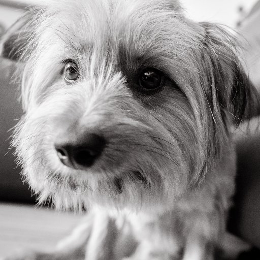 brym_s's profile picture. 