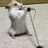 emmiellifluous's profile image