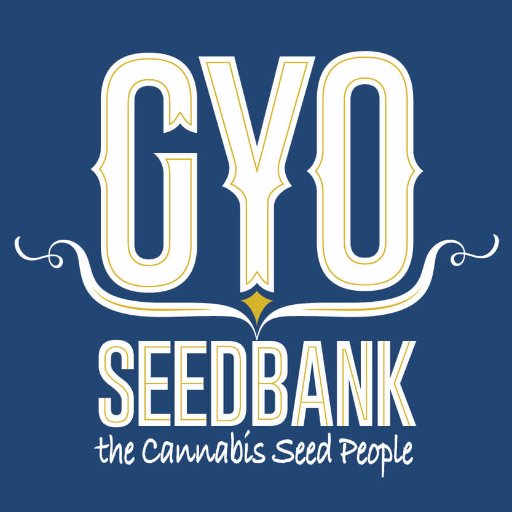 We offer Cannabis and Marijuana Seeds from the world's premium Marijuana breeders. The best genetics from the best Cannabis companies in the world. Simple!
