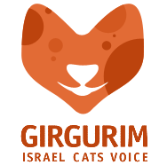 Girgurim - Israel Cats Voice
