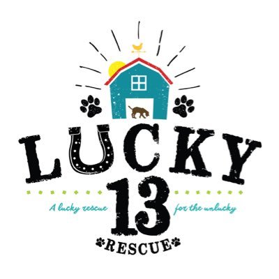 A federal 501c3 non-profit rescue for the unlucky. A foster home based rescue in the Kansas City area.