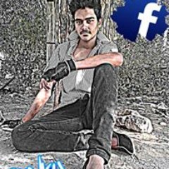 prakashsingh955's profile picture. 