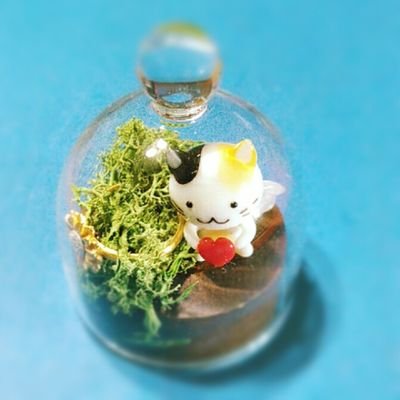 PocoMs_Fukumaru's profile picture. ラクなほうに流されて沈黙する善人になるより、ちゃんと子供たちの未来の為に声を上げていく大人でありたいなと日々思っています。フォロー･リツイ、ありがとうございます。個別にお礼は送ってません。スミマセン🙇‍♀️   私が死んだら自殺ではありませんのでその辺よろしく