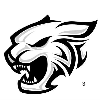 SchleyAthletics Profile Picture