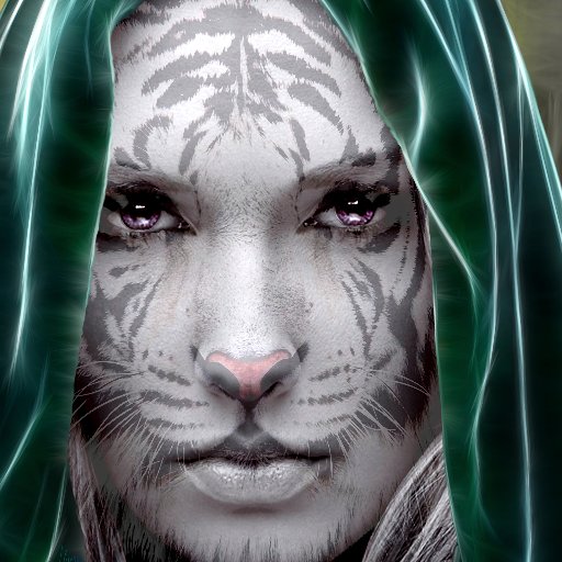 General-purpose hobby store. Fine coffee, D&D, Magic: the Gathering, snacks, models, used books, kites, boardgames, videos, kites, and more.