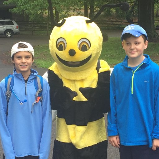 westfieldrec's profile picture. 