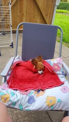 JetteMeck's profile picture. 