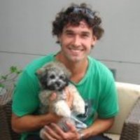 OnlineDogTrainer (@dansdogtrainer) 's Twitter Profile