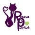 Rescue Purrfect Inc (@RescuePurrfect2) Twitter profile photo