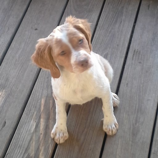 MecJahnke's profile picture. 