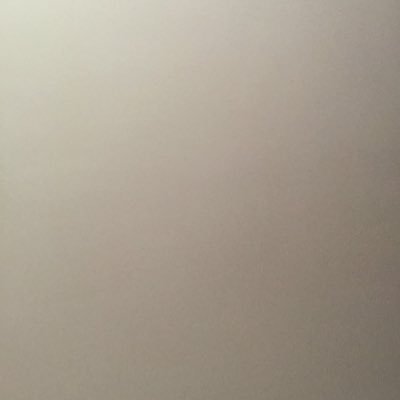 malibumollnj's profile picture. #