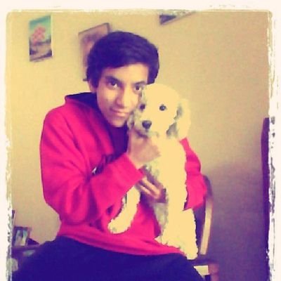 angelADSS07's profile picture. 