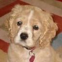 Brian Watson - @brianwatson - Twitter