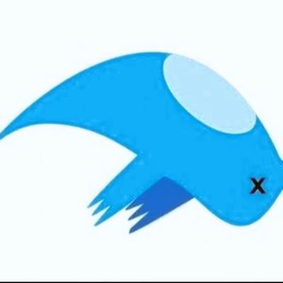 Correio_segredo's profile picture. 