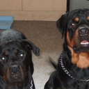 becki watson - @beckiknibbs - Twitter