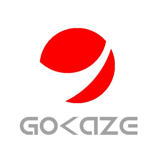 GoKaze, the premiere drone company. Rethinking the future of drones as more than tools, but ways of life. #DronesRule #DroneLife #ProDrone