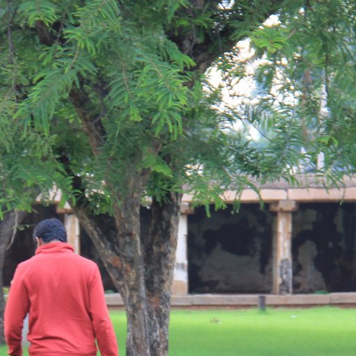 I have got beauty, I have got heart!! Keep my head in them, looks I am sharp! but you don't care to know I am smart. #Follow #Followback #Kannada #Tweet