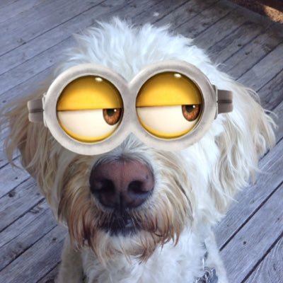 SilverMorrow's profile picture. 