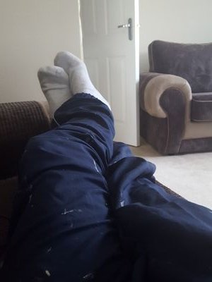 TraineePup's profile picture. Pup in training, looking for like minded people to help **wags tail excitedly**