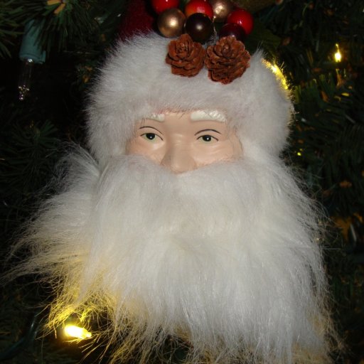 FredForTrump's profile picture. Part of the YUGE silent majority. Created Twitter account to follow Trump to the White House. Looking forward to the Great Wall of America. #TRUMP2016 #MAGA