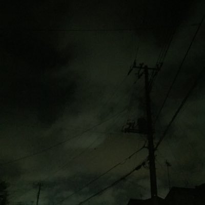 いなせなかまぼこさんのプロフィール画像