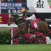 John Hutchinson (@sconebloodstock) Twitter profile photo John Hutchinson (@sconebloodstock) Twitter profile photo