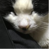 西区のマツザキ (@ndnnewspvc0jzkw) 's Twitter Profile Photo 西区のマツザキ (@ndnnewspvc0jzkw) 's Twitter Profile Photo