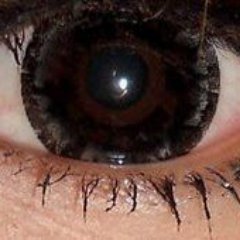 archmull's profile picture. shy, heart of glass