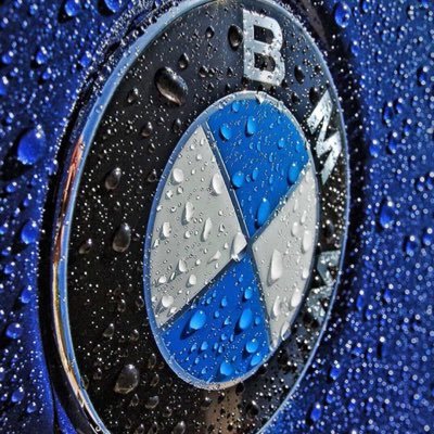 bosslegnarese's profile picture. 